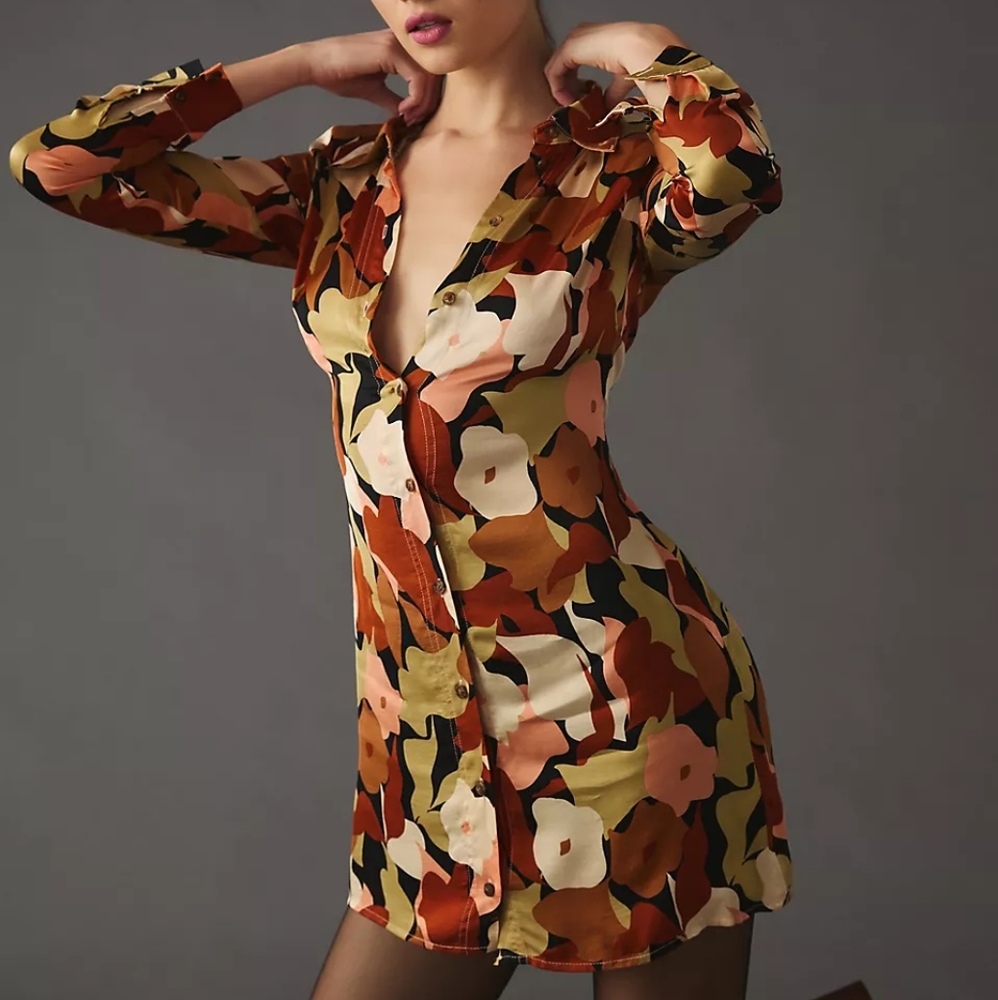 Astr the Label floral shirt dress
